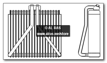 EVAP. NISS SUNNY 09'