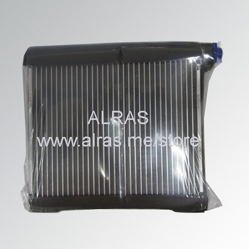 EVAP. NISS MARCH 12' / INDIAN SUNNY